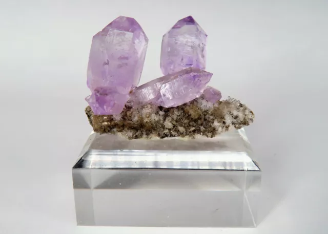 Zepter-Amethyst, Veracruz Mexiko 20-686