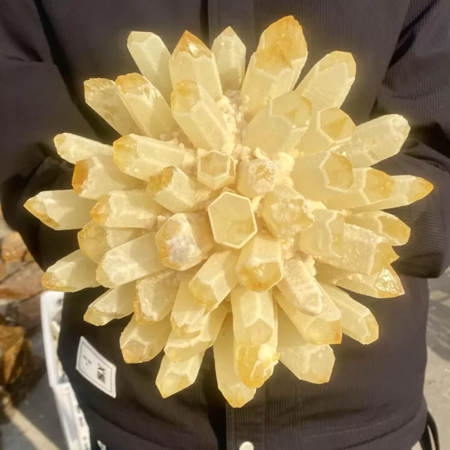 8.48LB  New Find Yellow Phantom Quartz Crystal Cluster Mineral Specimen Healing