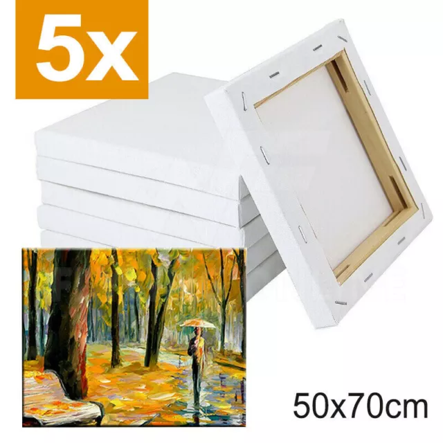 5x Artist Canvas Blank Stretched Canvases Art Large White Range Oil Acrylic Wood