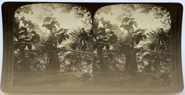 Japan Ohiradai 1901 Foto Stereo Vintage P81L9n48