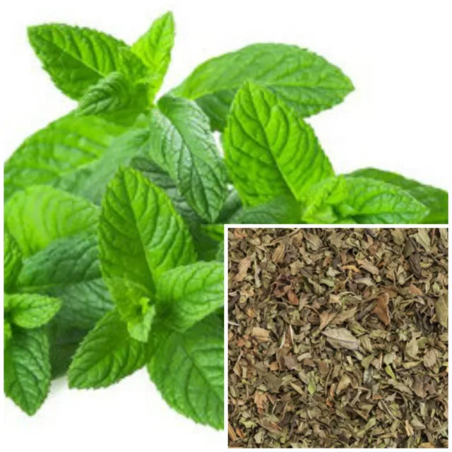 Peppermint, organic, soap making supplies, herbal extracts.