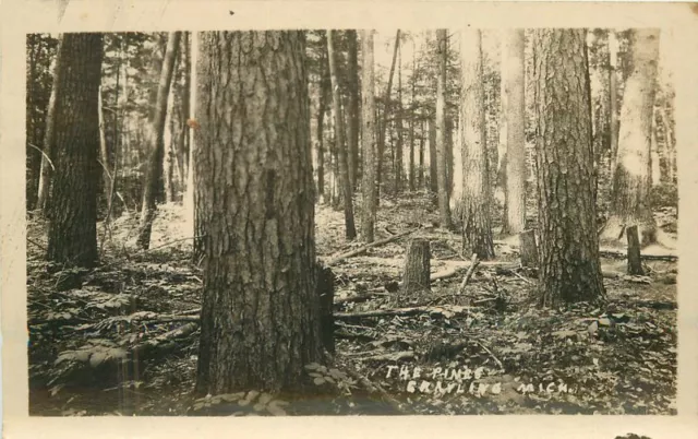 Michigan Grayling The Pines Logging Lumber C-1910 RPPC Photo Postcard 22-5722