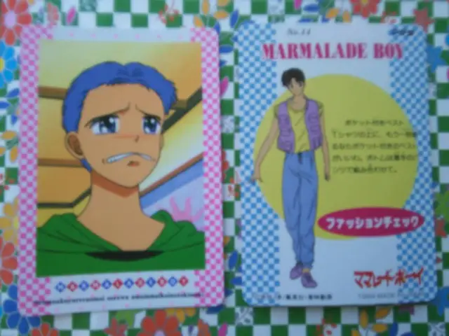 Marmalade Boy Hero Collection Trading Card La Familia Crece Amada 14