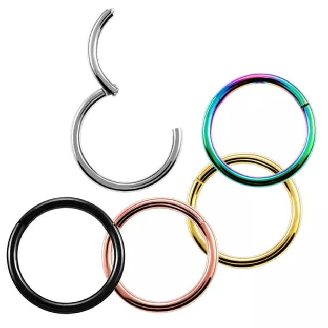 Piercing Septum Klicker Titan Segment Ring Scharnier Nase Lippe Ohr Body Schmuck