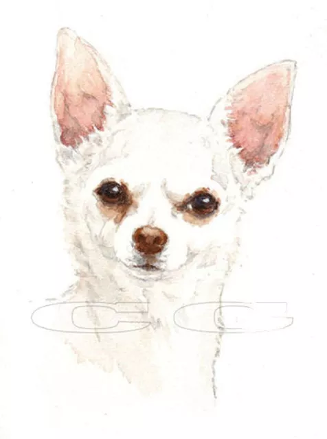 CHIHUAHUA no2.     3 Blank Dog greeting cards by Christine Groves