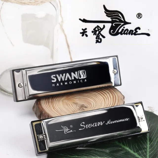 Acheter Swan SW1020-7 10 trous 20 tons Blues Harmonica diatonique clé  d'orgue à bouche C avec étui ABS