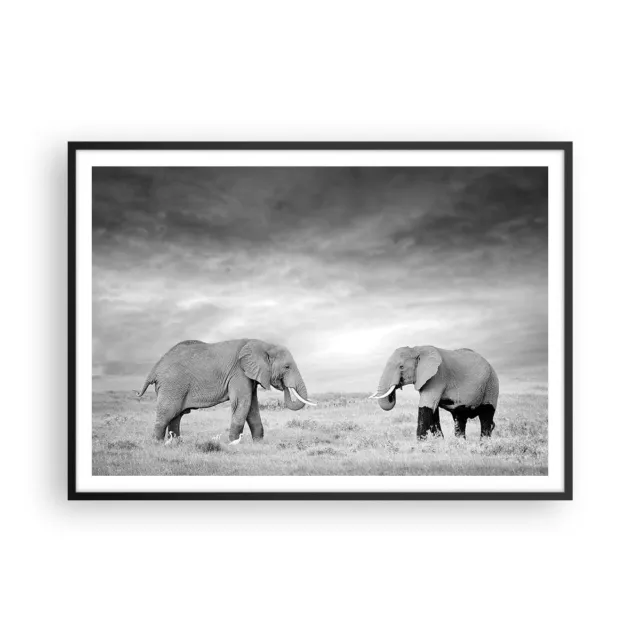 Cuadro Poster de Pared 100x70cm P�ster Marco Elefantes Blanco Y Negro Safari Art