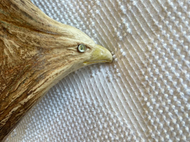Moose Antler Carved Eagle 🦅 About 18”x12” Montana Crow Native American