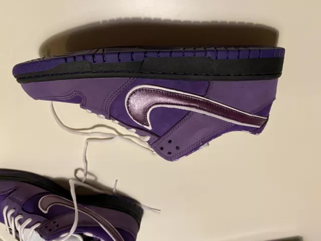 Nike SB Dunk Low Concepts Purple Lobster (Special Box) 2