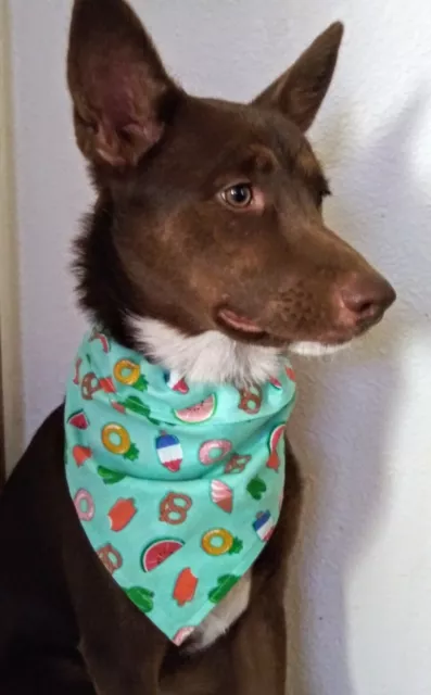 Dog Bandanna Over The Collar Summertime Foods Medium Sized Dogs Usa Handmade