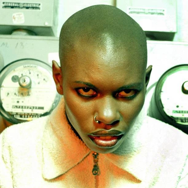 SKUNK ANANSIE EAD singer Skin poses for a July 1996 portrait in Ne