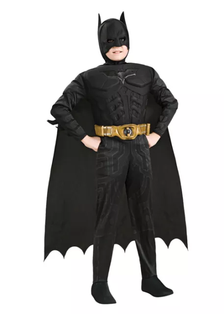 THE DARK KNIGHT Retractable Wings For Kids £60.00 - PicClick UK