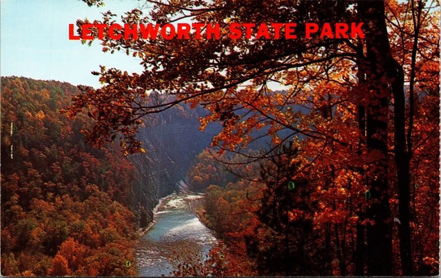 Letchworth State Park Castile New York Gorge East Genesee River Gorge Postcard
