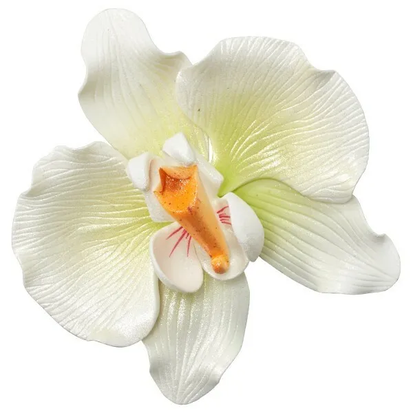 3 Pasta Individual Blanca Orquídea Goma Gumpaste Flores Fondant Azúcar