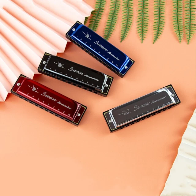 Blues Harmonica acier inoxydable avec étui musique CYGNE 20 tons débutants