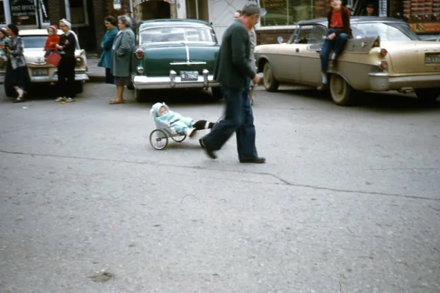 35mm Slide 1950s Red Border Kodachrome Man Parking Lot Carting Pulling Baby Dog