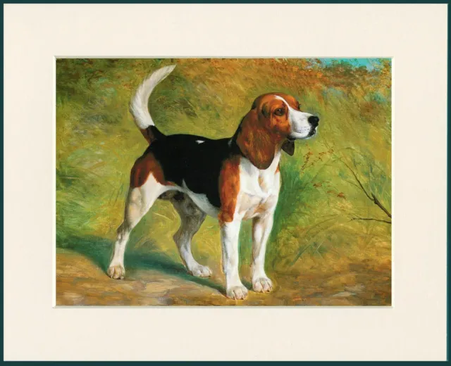 Beagle Dog Lovely Dog Print Mounted Ready To Frame