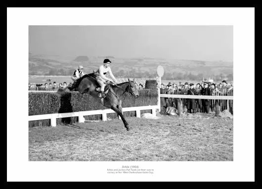 Arkle 1964 Cheltenham Gold Cup Horse Racing Photo Memorabilia (759)