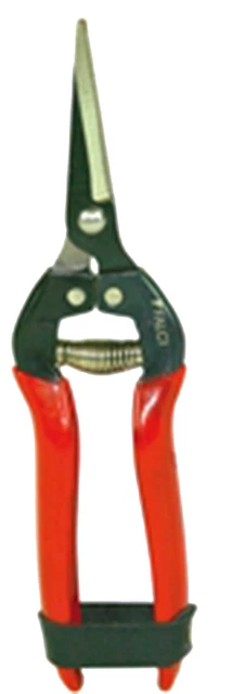 Attrezzatura Per La Raccolta | Italy - Foto 10