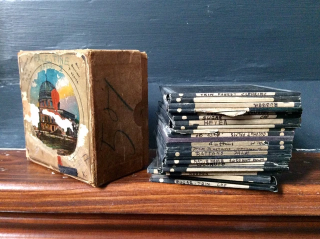 Job Lot Antique Magic Lantern Slides,Colonial Era Tropical Plantation Old Photos 2