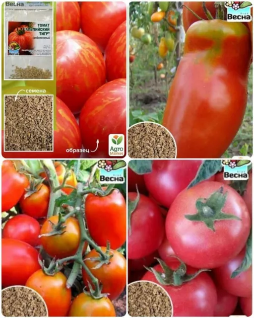 A Set of  Tomato Seeds . Ukraine. NON-GMO Selected seeds (3)