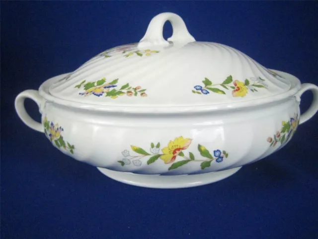 AYNSLEY COTTAGE GARDEN 9" Round Covered & Handled Vegetable Bowl, New