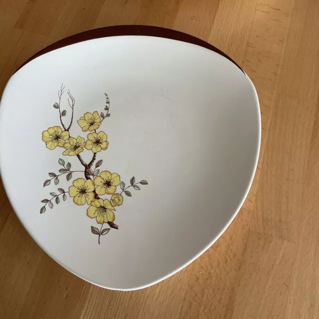 1950’s Mimosa Pattern Carlton Ware  Handpainted large plate