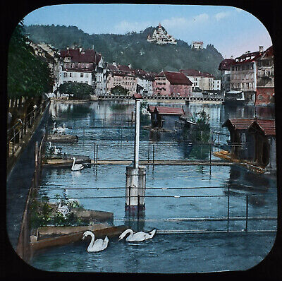SWAN GARDENS LAKE LUCERNE SWITZERLAND C1887 OLD PHOTOGRAPH Magic Lantern Slide