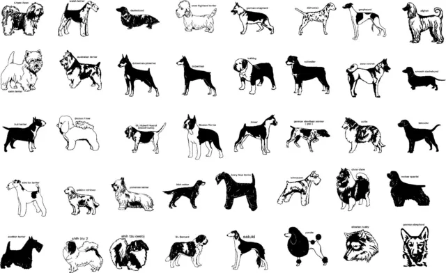 Custom Various Dog Breeds Vinyl Decal Sticker for Car, Truck, Laptop, Cornhole