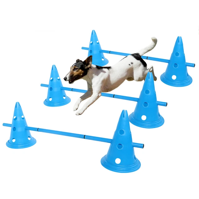 Attrezzatura agilità cane sport per cani addestramento ostacolo tunnel per cani salto barre blu