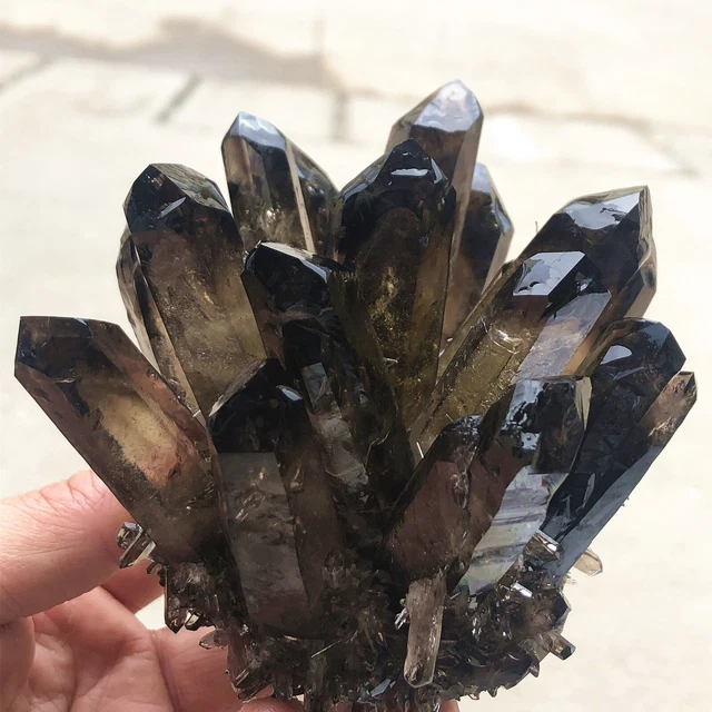 1.33lb New Find Black Phantom Quartz Crystal Cluster Mineral Specimen Healing 12