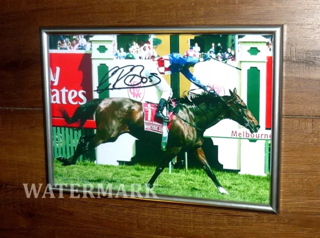 Makybe Diva Glen Boss Winning The 2005 Melbourne Cup Signed Silver Frame 2