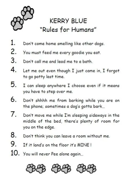 Kerry Blue "Rules for Humans" - CUSTOM MATTED - Dog Art Print : GIFT