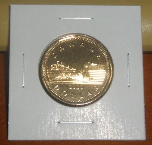 Canada 2000w Prooflike Loonie One $1 Dollar Loon Coin Winnipeg W Mint Mark 2000