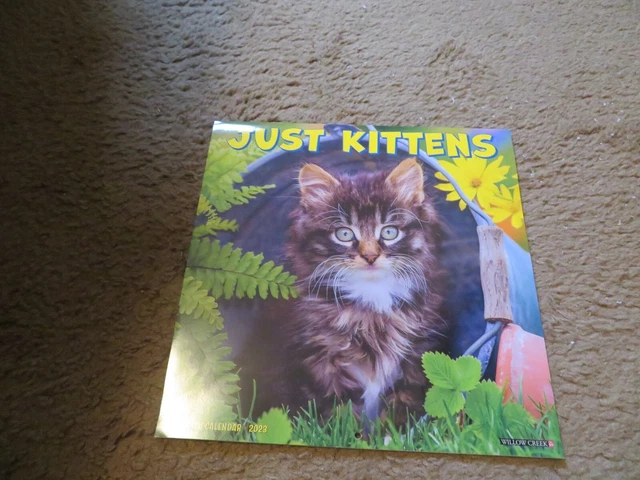 LOOK NEW Cat Calendar Just Kittens 2023 Wall Calendar  12" x 12"