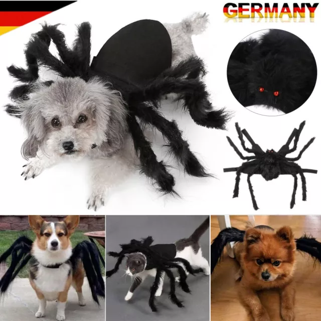 Welpen Katzen Hunde Haustier Halloween Plüsch Spinnenkostüm Cosplay Kleidung DE