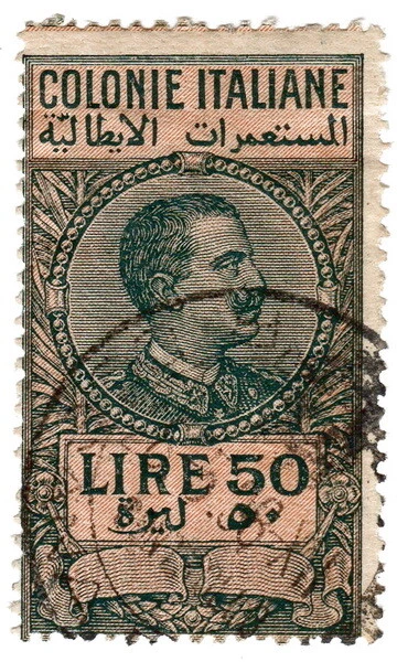 (I.B) Italy (Libya) Revenue : Duty Stamp 50L (1923)