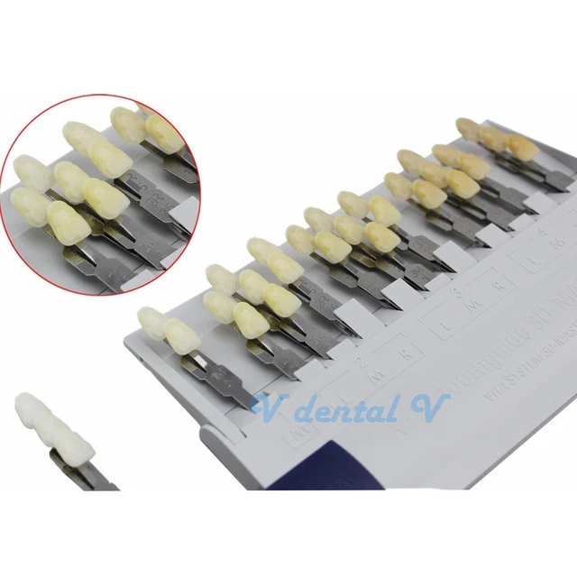 1pc Dental Teeth Shade Guide Whitening Comparison 29 Colors Toothguide