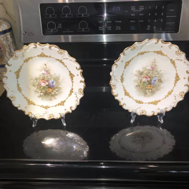 PAIR~Antique G. D&C LIMOGES France Hand Painted  FLOWERS 8 1/2" Salad Plates