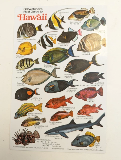 Fishwatcher's Field Guide Fish Hawaii Waterproof Laminated ID Cards 1983