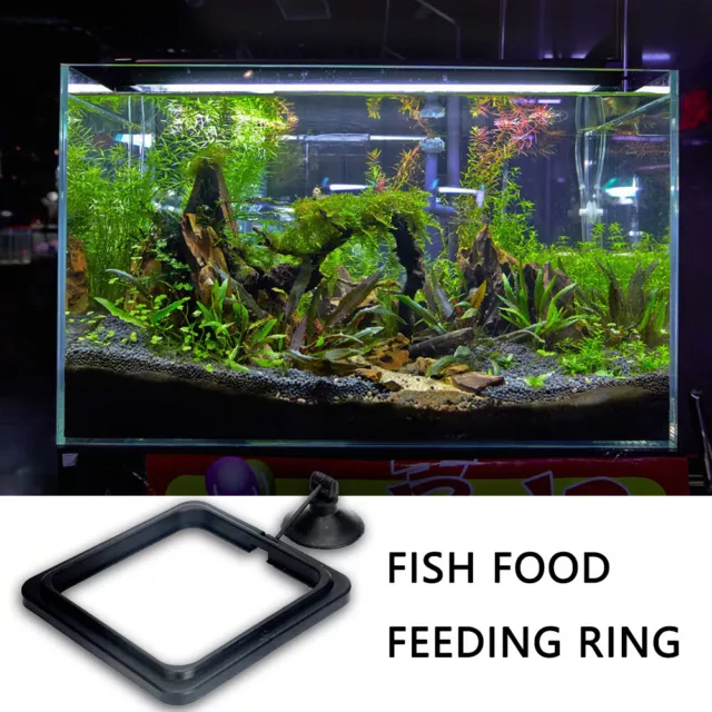 Aquarium Feeding Ring Fish Tank Station Floating Food Tray Feeder Square Circle