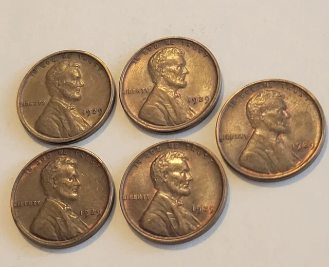 1929 Lincoln Wheat Cent Penny Lot of 5 Gorgeous Coins! Philadelphia US Mint!
