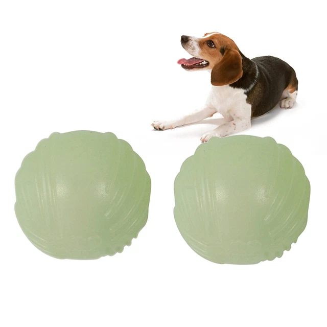 2 stücke Pet Elastic Leuchttraining Beißen Widerstand Spielzeug für