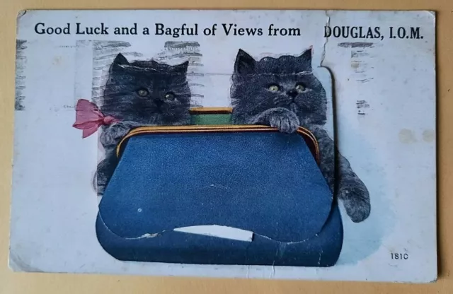 Postcard 1948 Douglas I.O.M. Fold Out Views. Novelty .Cats
