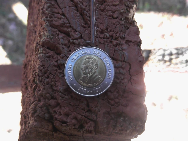 1997 Ecuador Cien Sucres Coin Old Coins Ecuadorian Money Moneda Rare World Monie