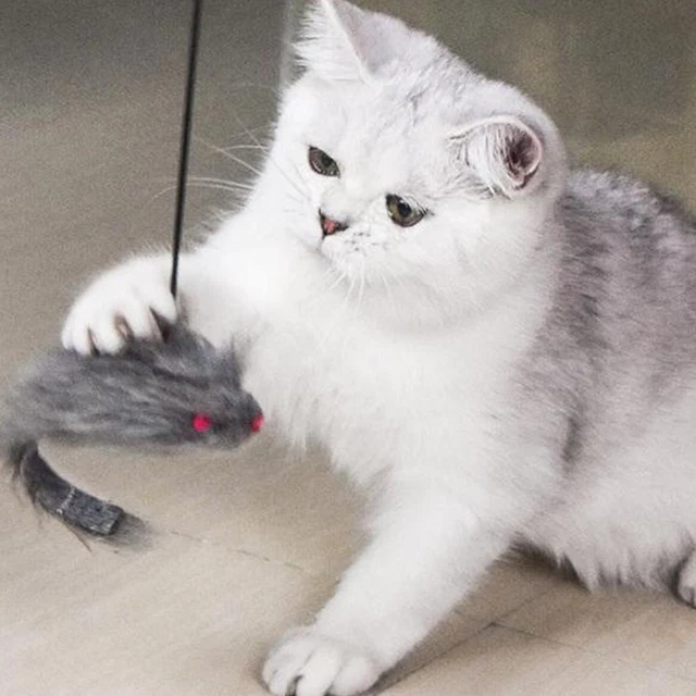 Pet Cat Toys Mouses Hanging Automatic Funny Cat Teaser Indoor For Cats G3Sx D5X5