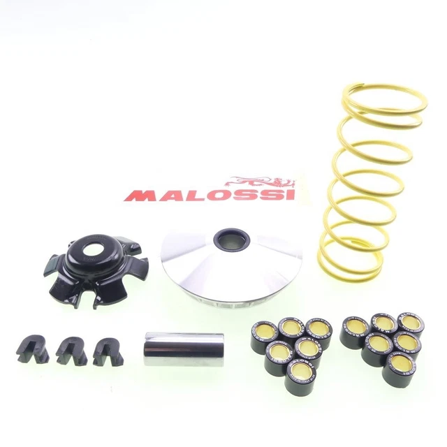 MALOSSI Multivar 2000 Variomatik - Für Arctic Cat & Kymco Quads