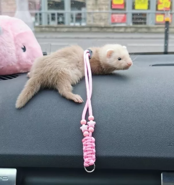 1 x ferret harness Small Animal Harness