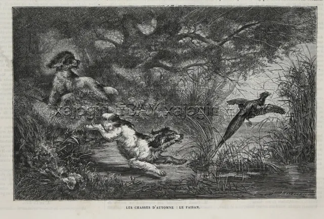 Dog English or Welsh Springer Spaniels Pheasant Hunting, 1870s Antique Print