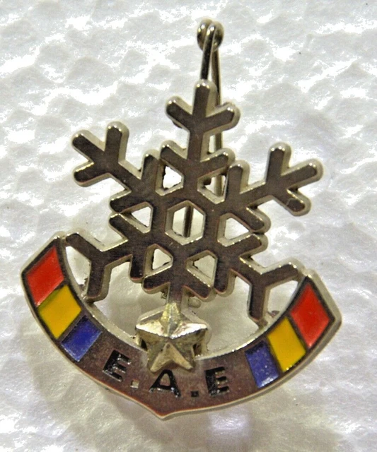 Flocon 1 étoile SUCCES / Insigne médaille Brevet EUR 4,00